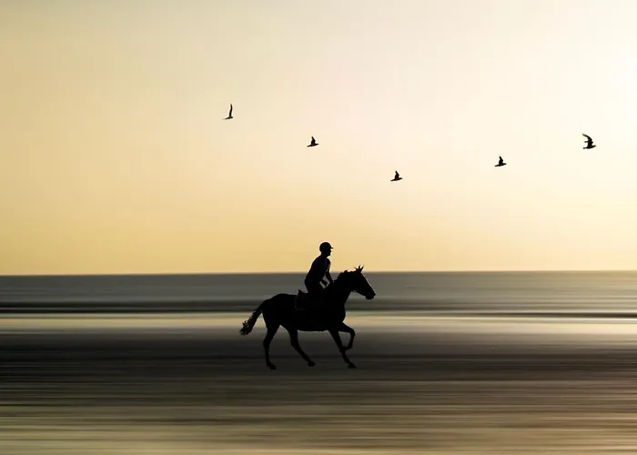 - Yacht Club 1 - Vue Mer * Blonville-sur-Mer