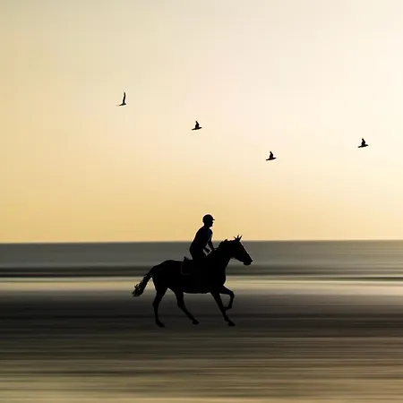 - Yacht Club 1 - Vue Mer * Blonville-sur-Mer